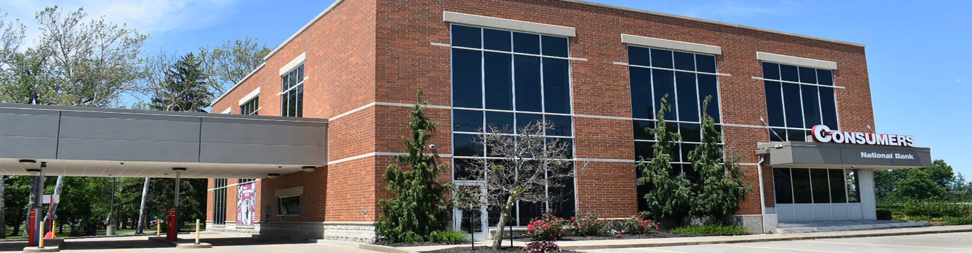 Minerva branch