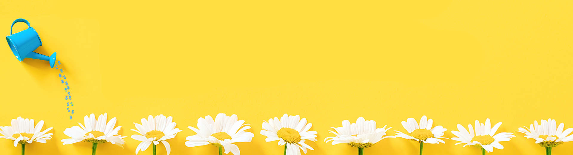 Spring Auto Rebate Background